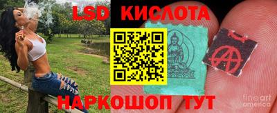 ГАЛЛЮЦИНОГЕННЫЕ ГРИБЫ Кингисепп