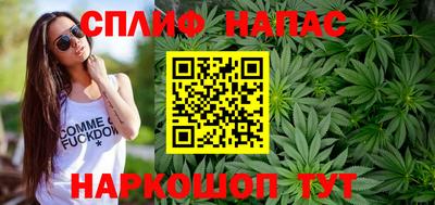 ГАЛЛЮЦИНОГЕННЫЕ ГРИБЫ Кингисепп