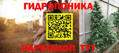 ГАЛЛЮЦИНОГЕННЫЕ ГРИБЫ Кингисепп