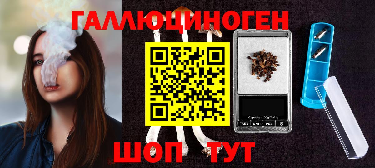 Дмитров  Псилоцибиновые грибы мухоморы  Вход с VPN 